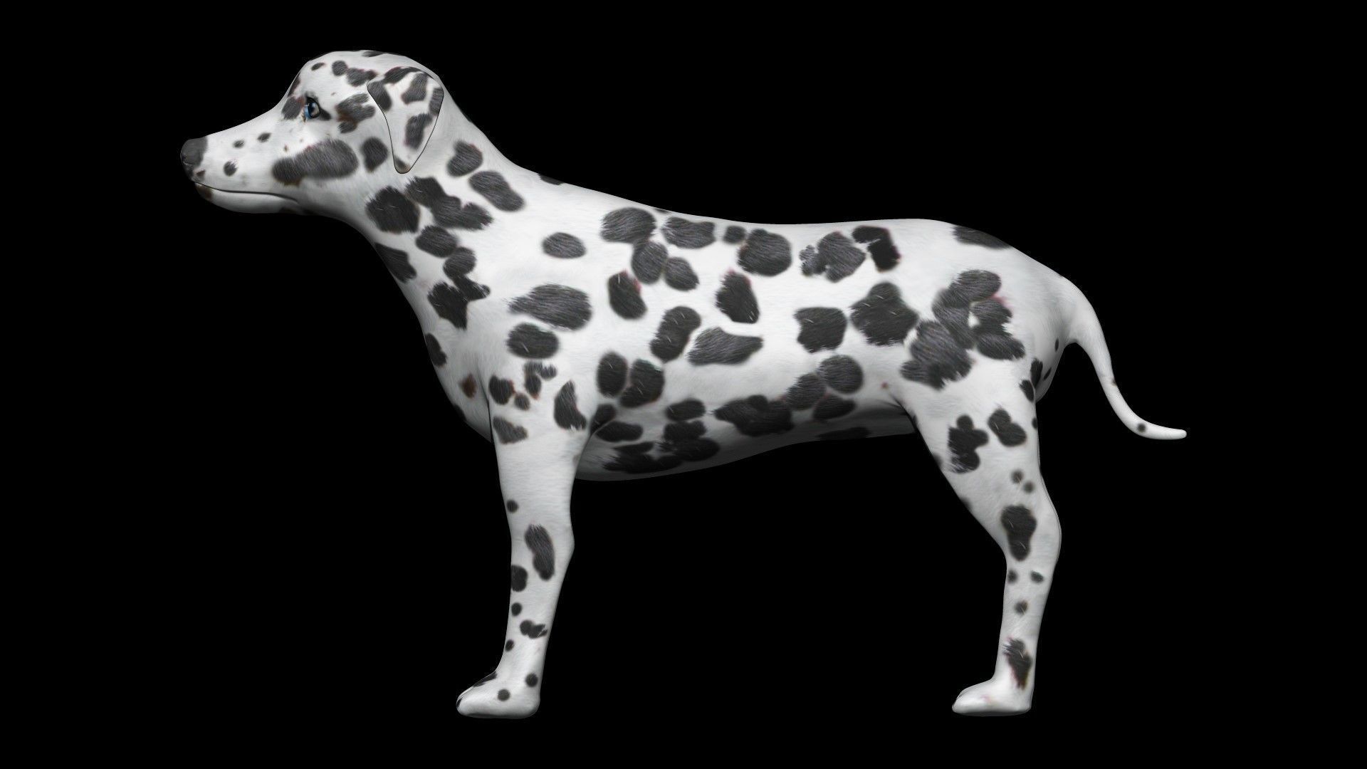 black and brown dalmatian Low-poly 3D model_3