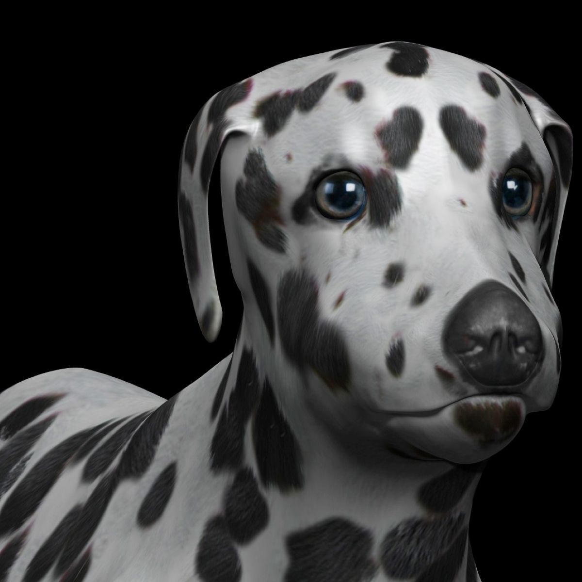 black and brown dalmatian Low-poly 3D model_2