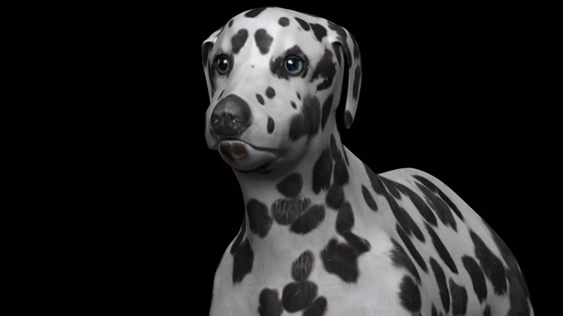 black and brown dalmatian Low-poly 3D model_0