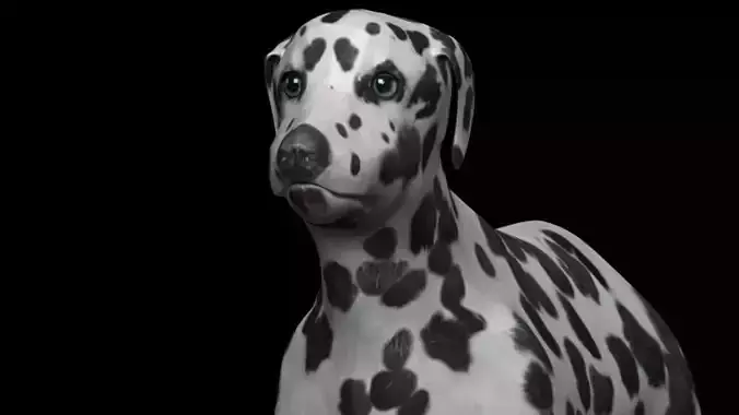 black and brown dalmatian Low-poly 3D model
