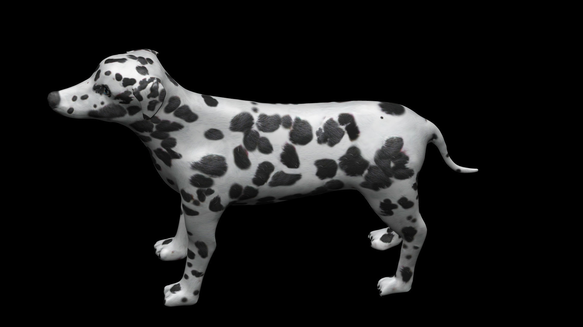 black and brown dalmatian Low-poly 3D model_4