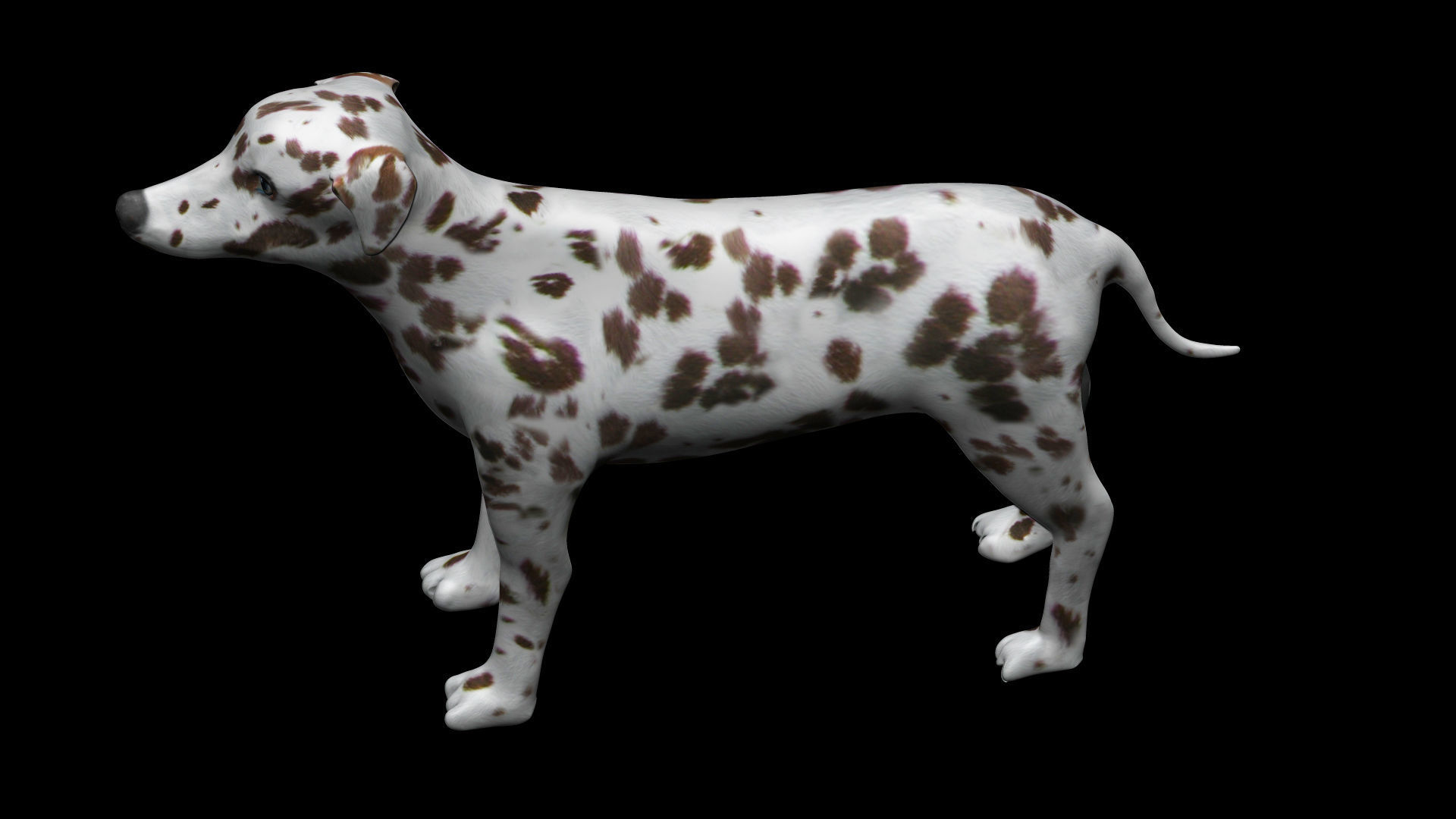Brown Dalmatian Dog Low-poly 3D model_4