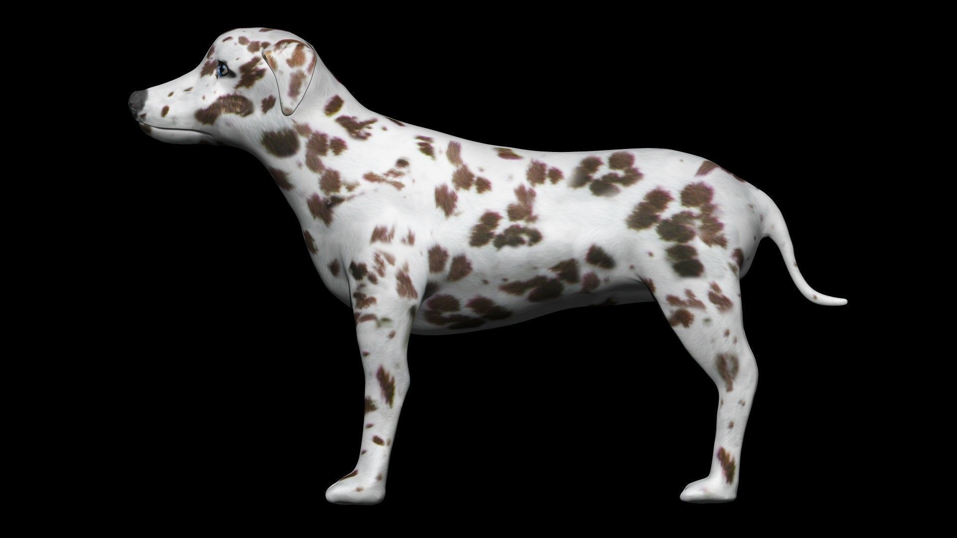 Brown Dalmatian Dog Low-poly 3D model_1
