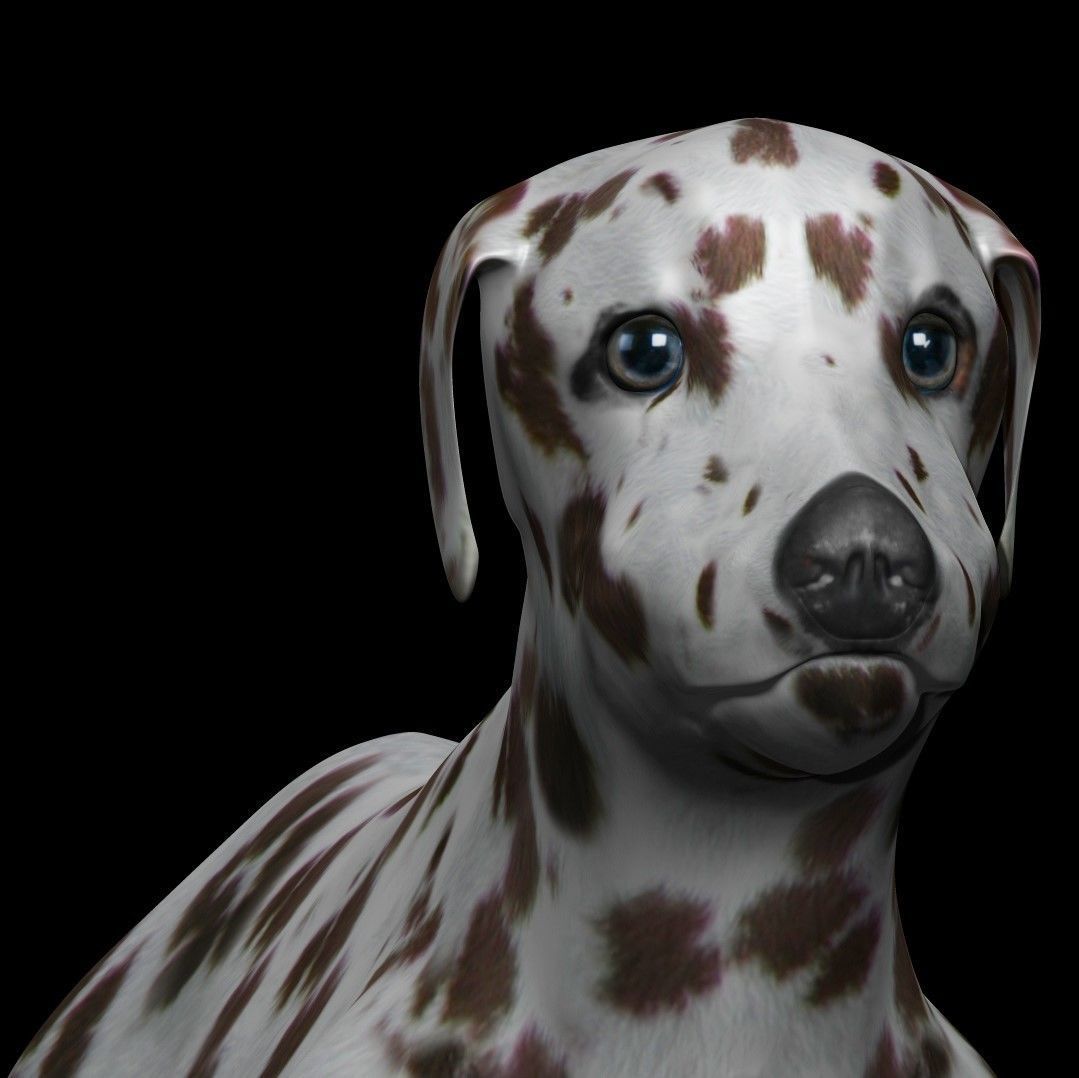 Brown Dalmatian Dog Low-poly 3D model_2