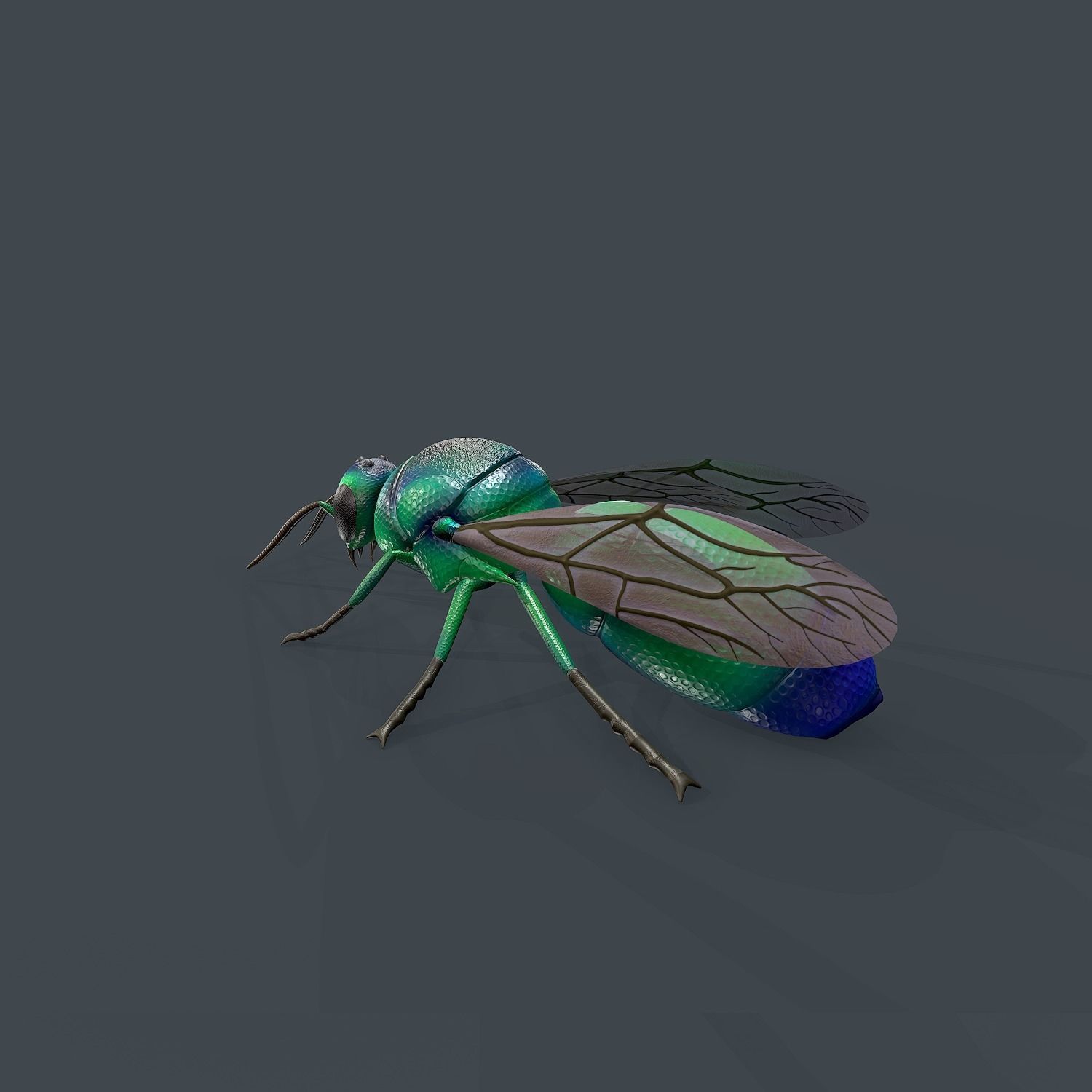 Cuckoo Wasp Low-poly 3D model_1