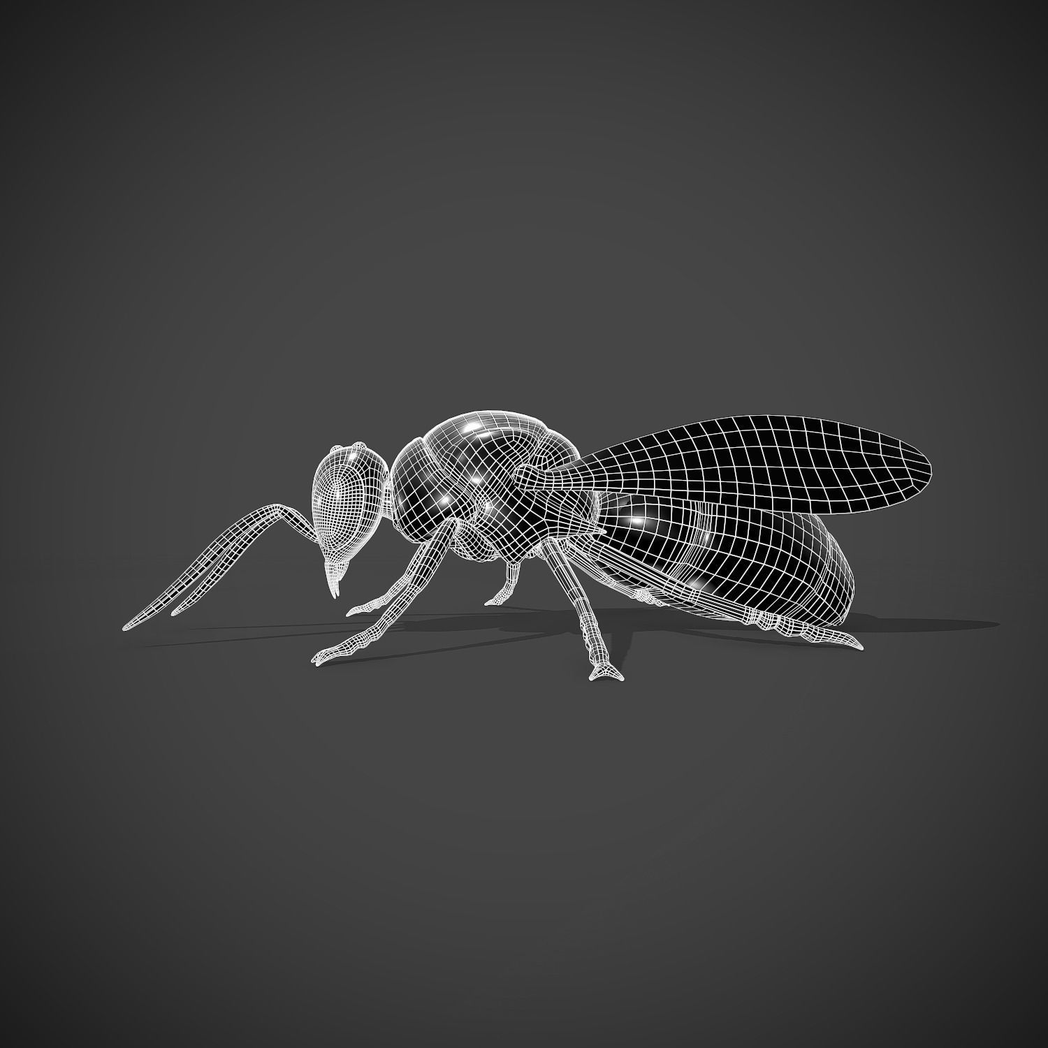 Cuckoo Wasp Low-poly 3D model_2