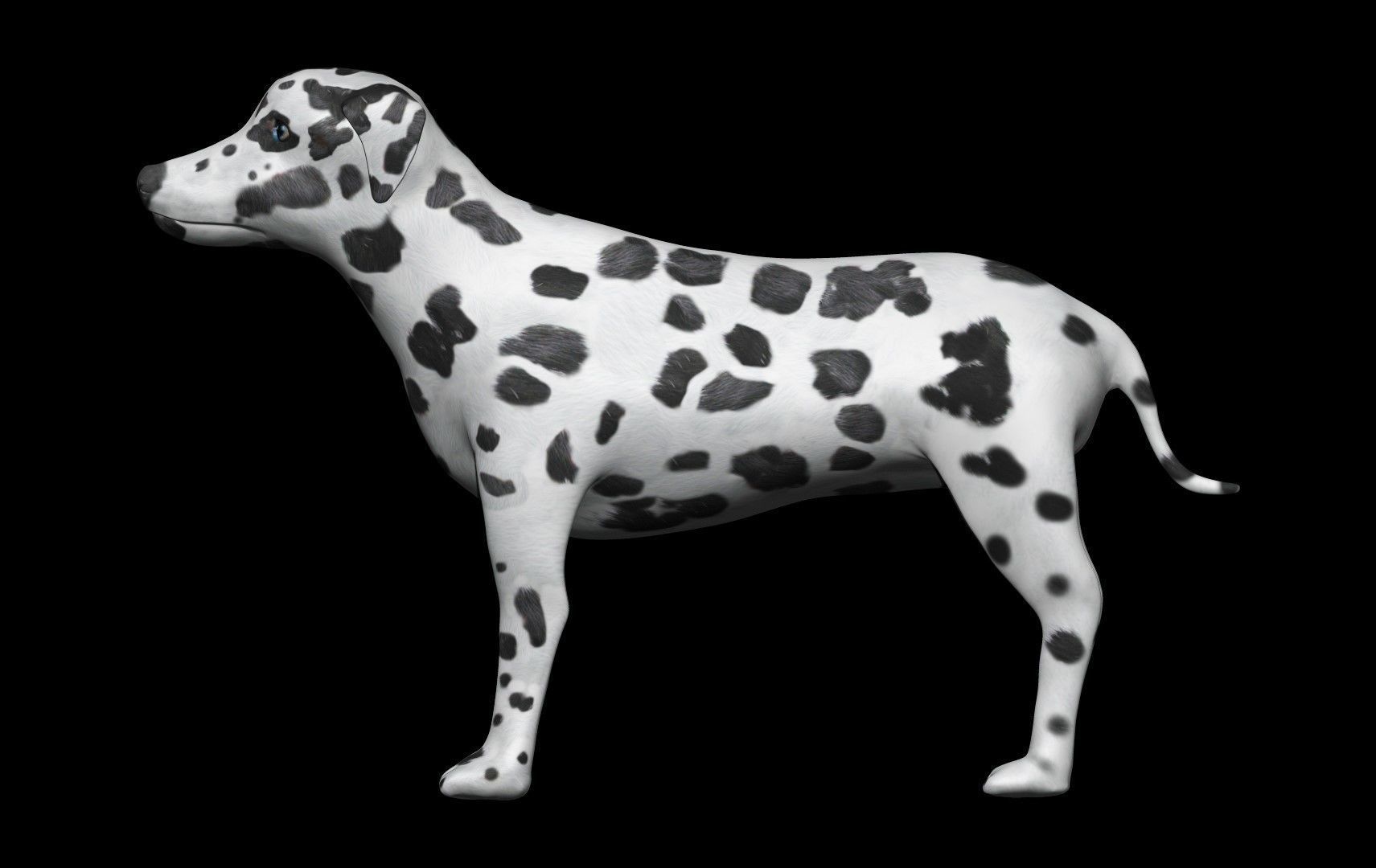 Dalmatian Dog Low-poly 3D model_3