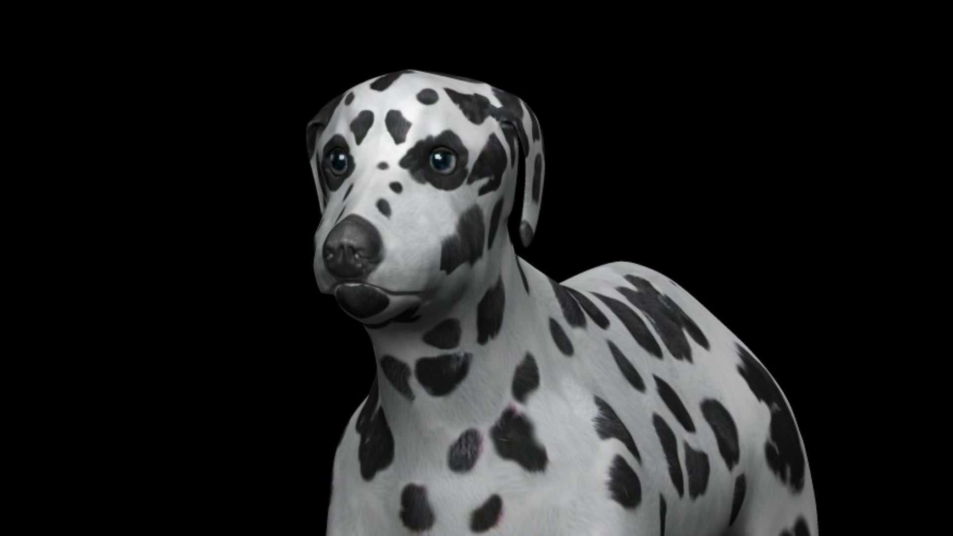 Dalmatian Dog Low-poly 3D model_1
