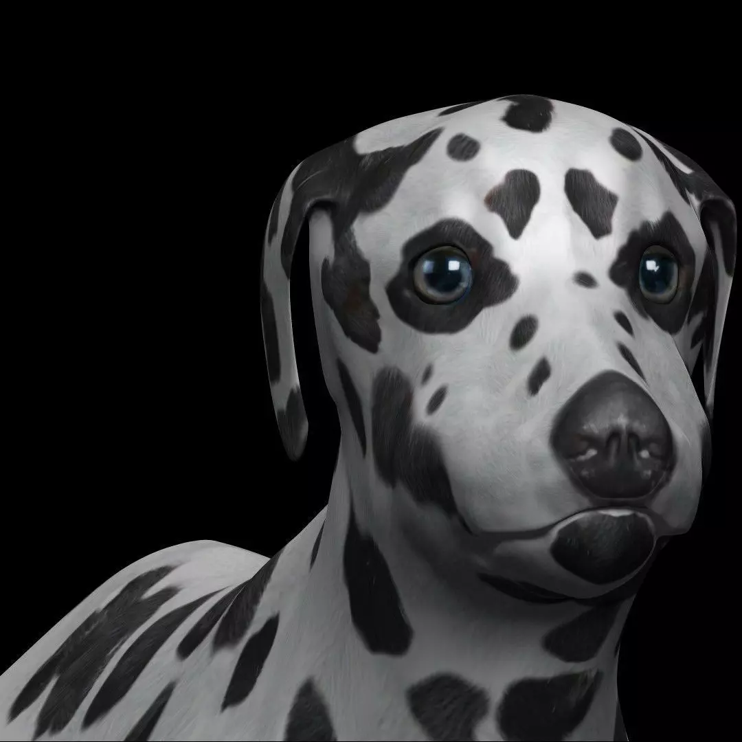 Dalmatian Dog Low-poly 3D model_0