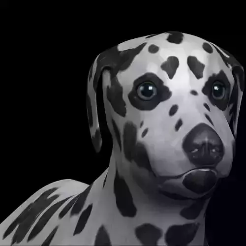 Dalmatian Dog Low-poly 3D model