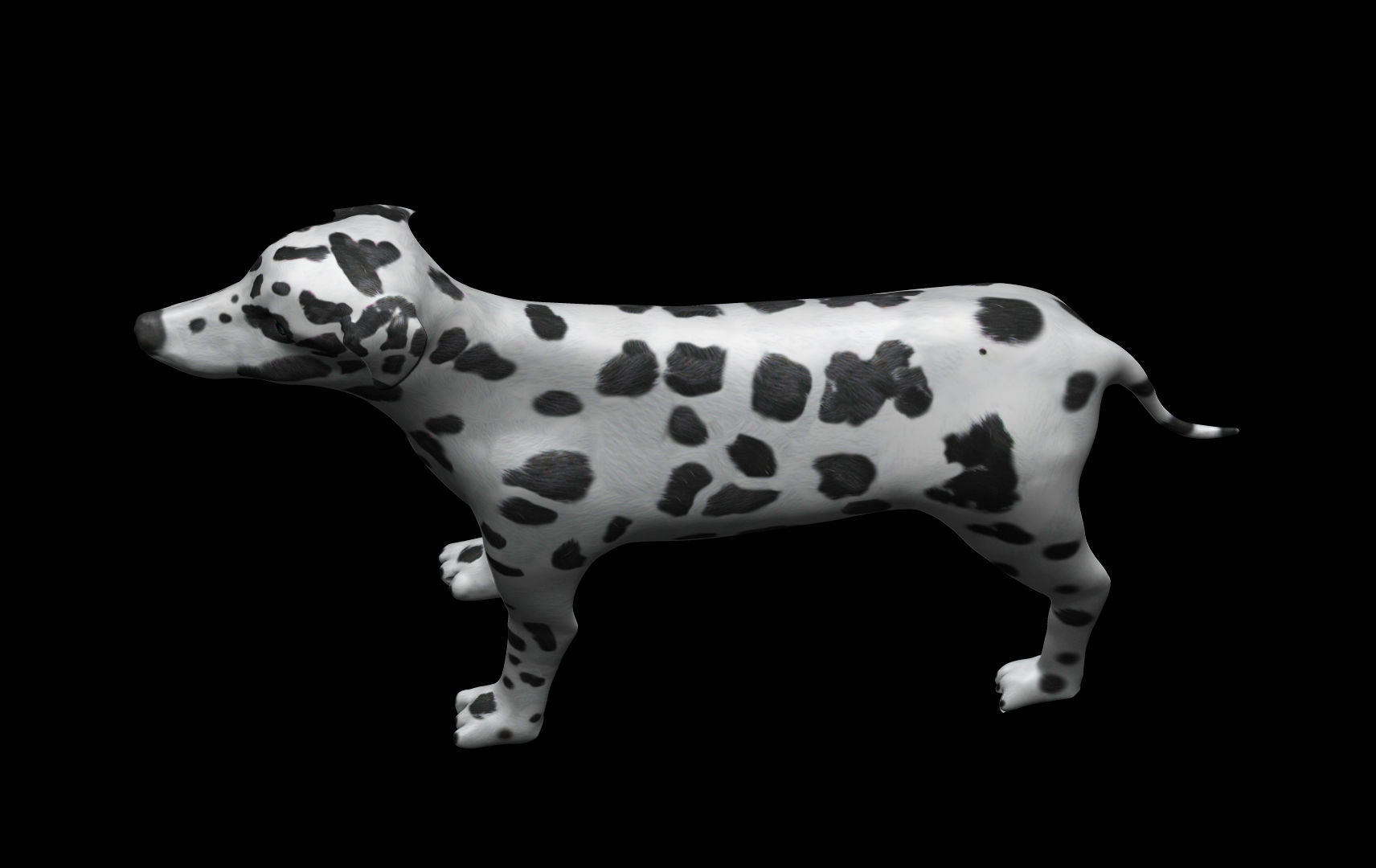 Dalmatian Dog Low-poly 3D model_4