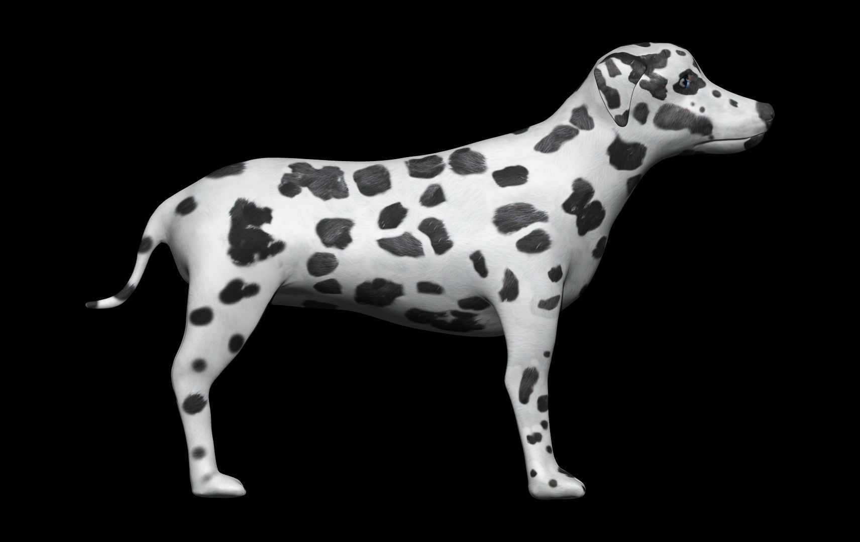 Dalmatian Dog Low-poly 3D model_2