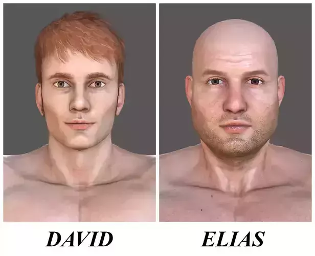DAVID-ELIAS male with different measurements 3D Model Collection