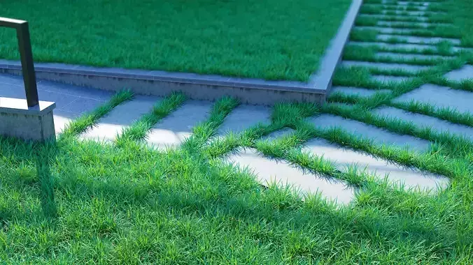 Realistic Grass for Corona Render 3D model