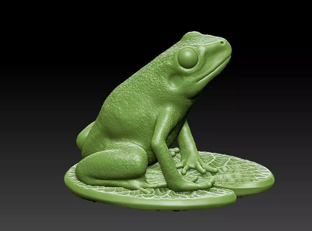 Frog on the leaf 3D print model_0