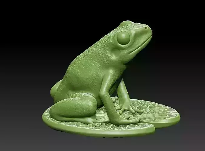    Frog on the leaf 3D print model