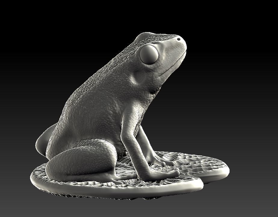 Frog on the leaf 3D print model_1