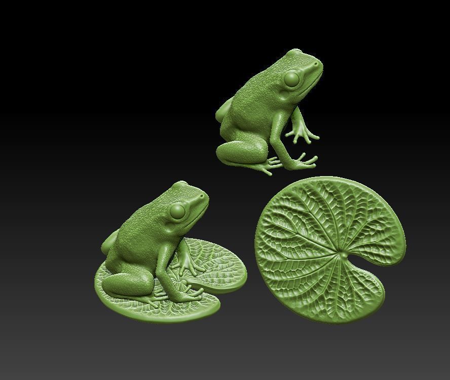 Frog on the leaf 3D print model_8