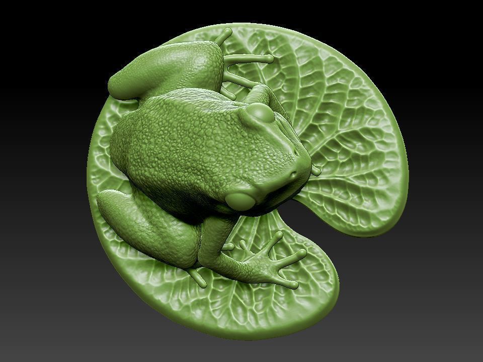 Frog on the leaf 3D print model_5