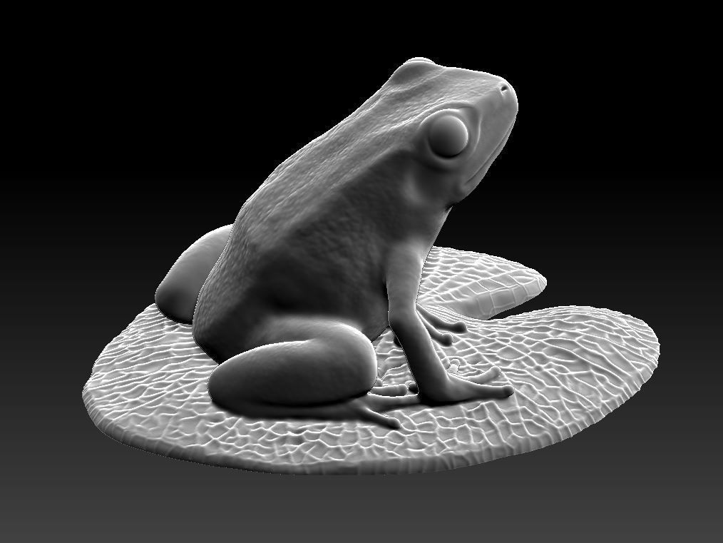 Frog on the leaf 3D print model_2