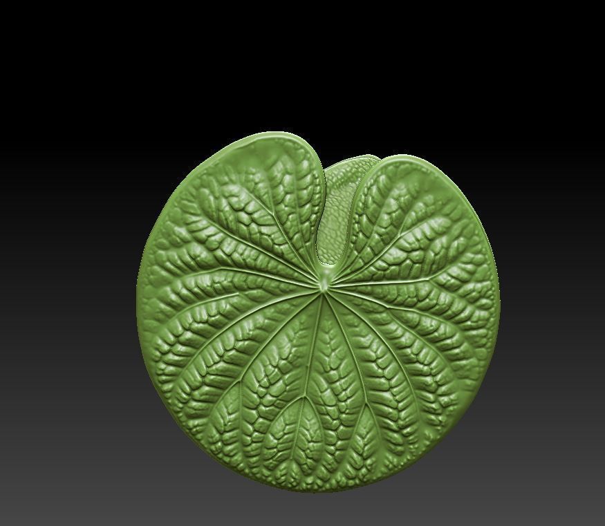 Frog on the leaf 3D print model_6