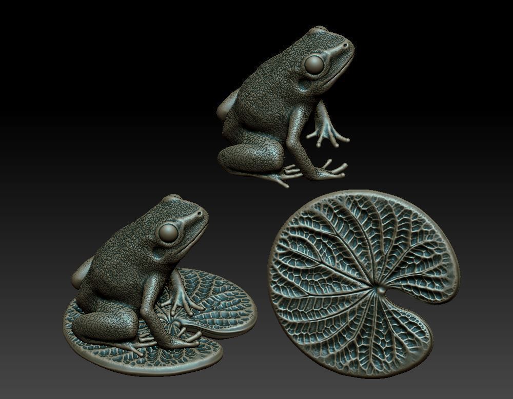 Frog on the leaf 3D print model_3