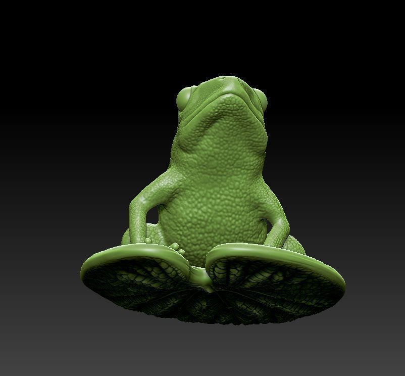 Frog on the leaf 3D print model_7