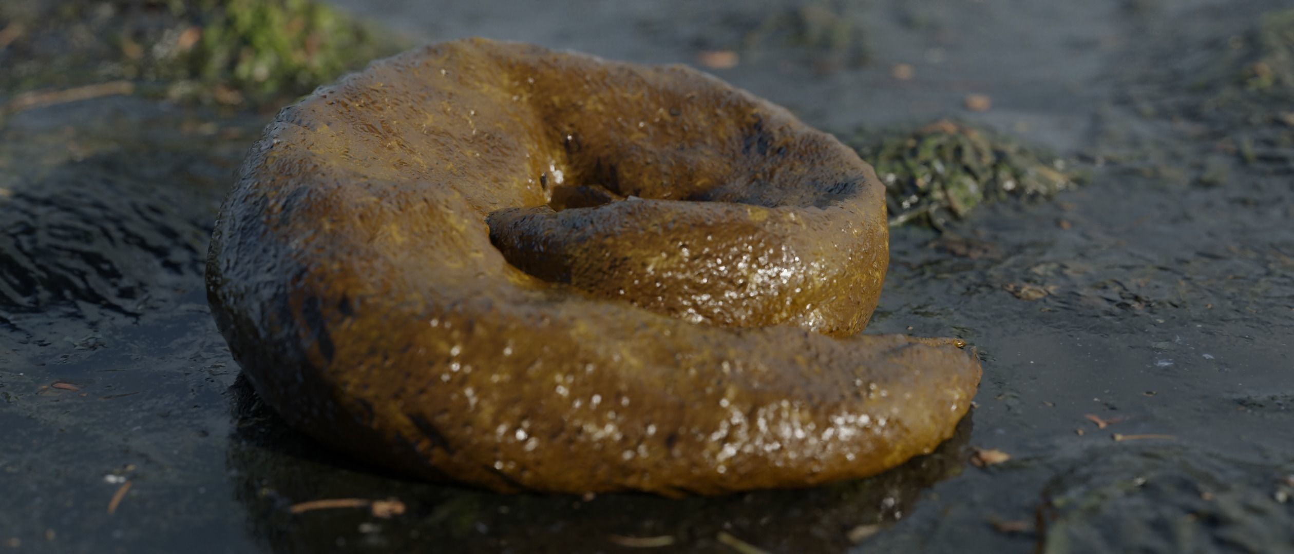 Shit Inside Heart Shape Gift Box  Low-poly 3D model_5