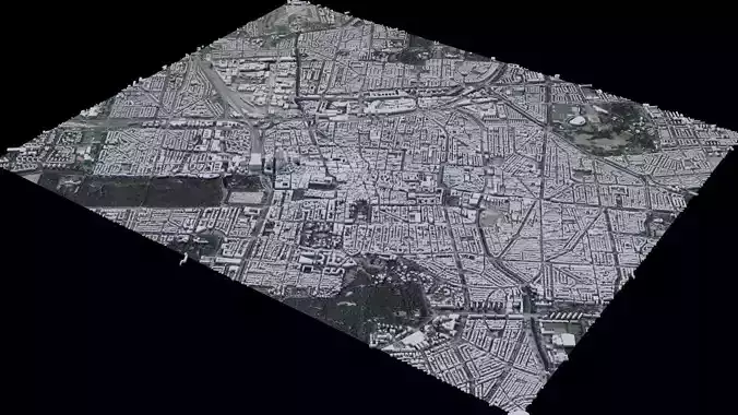 The Hague - Netherlands