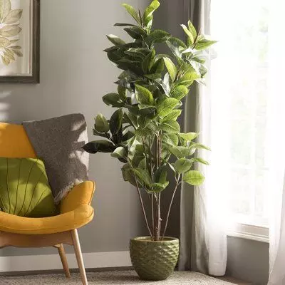 Artificial Fiddle Leaf Fig Tree in Pot 3D model