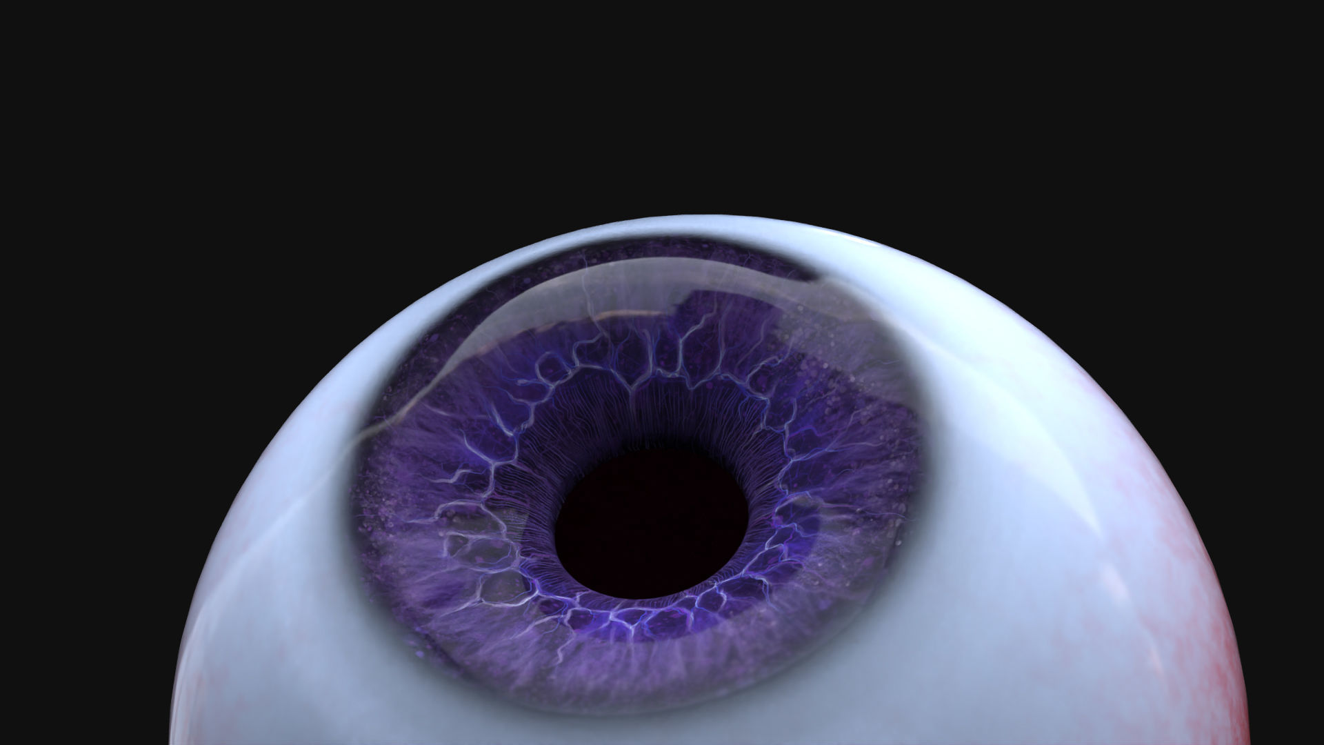 Rigged Eye 6 colors Low-poly 3D model_20
