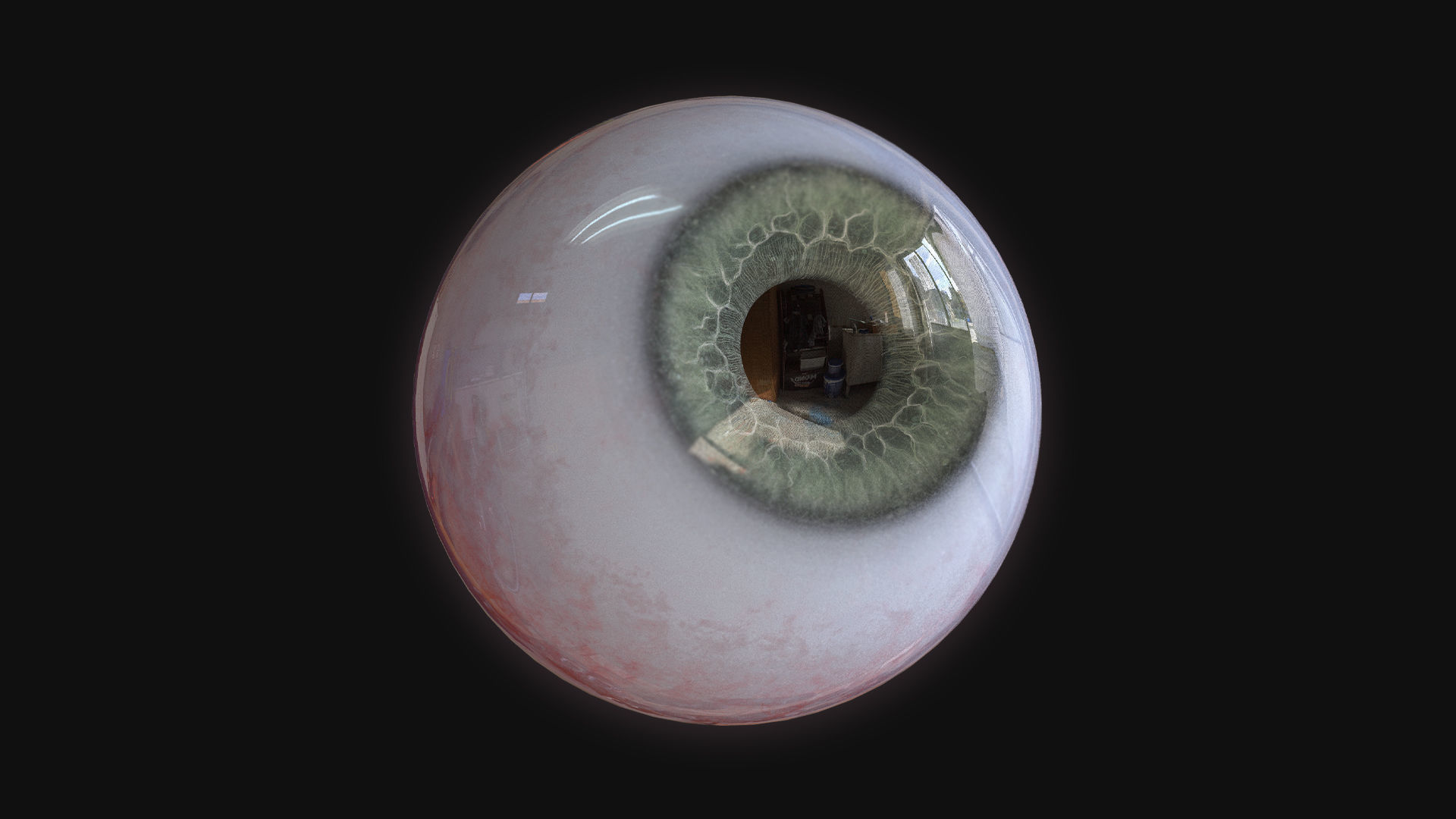 Rigged Eye 6 colors Low-poly 3D model_16