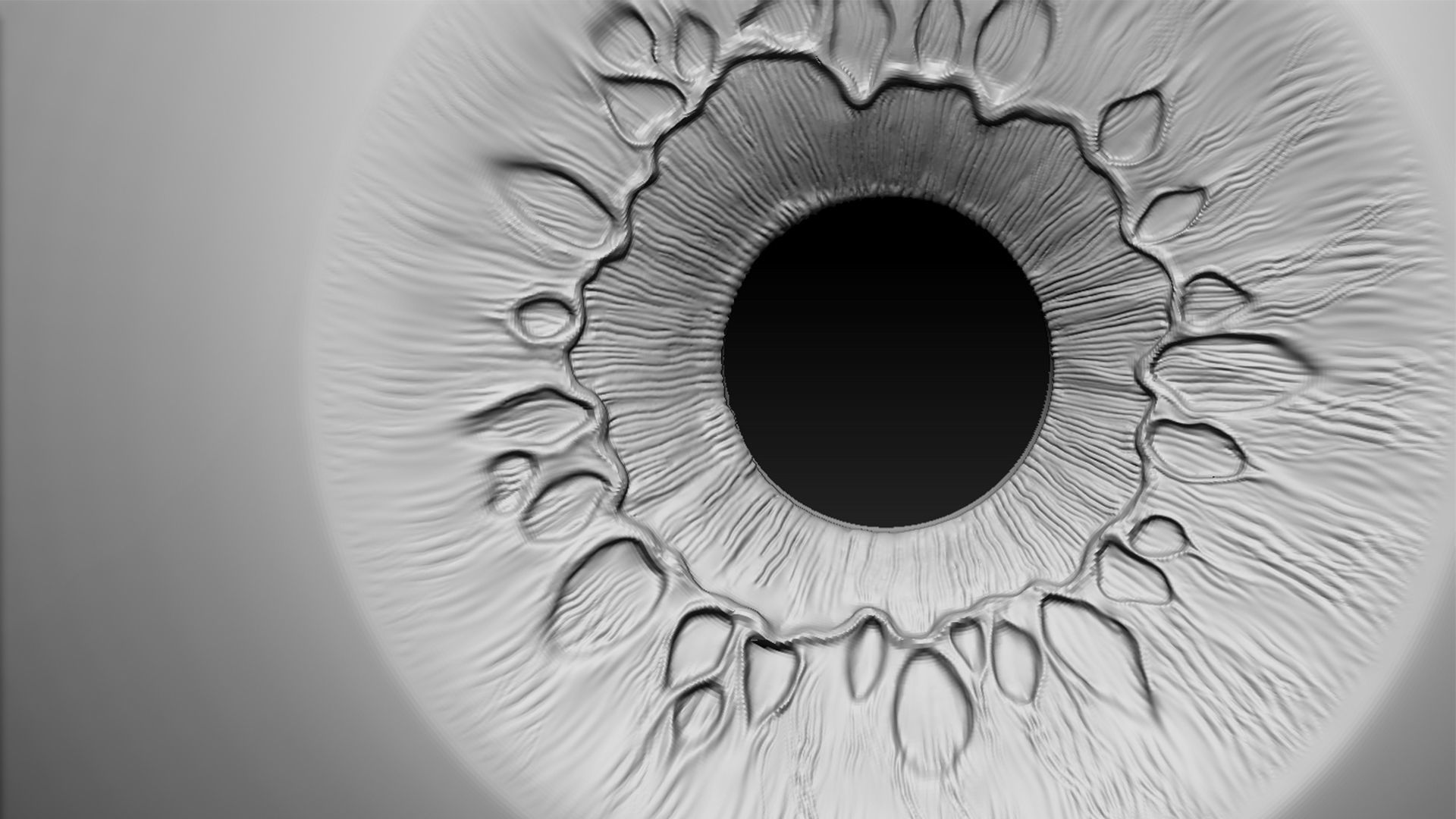 Rigged Eye 6 colors Low-poly 3D model_6