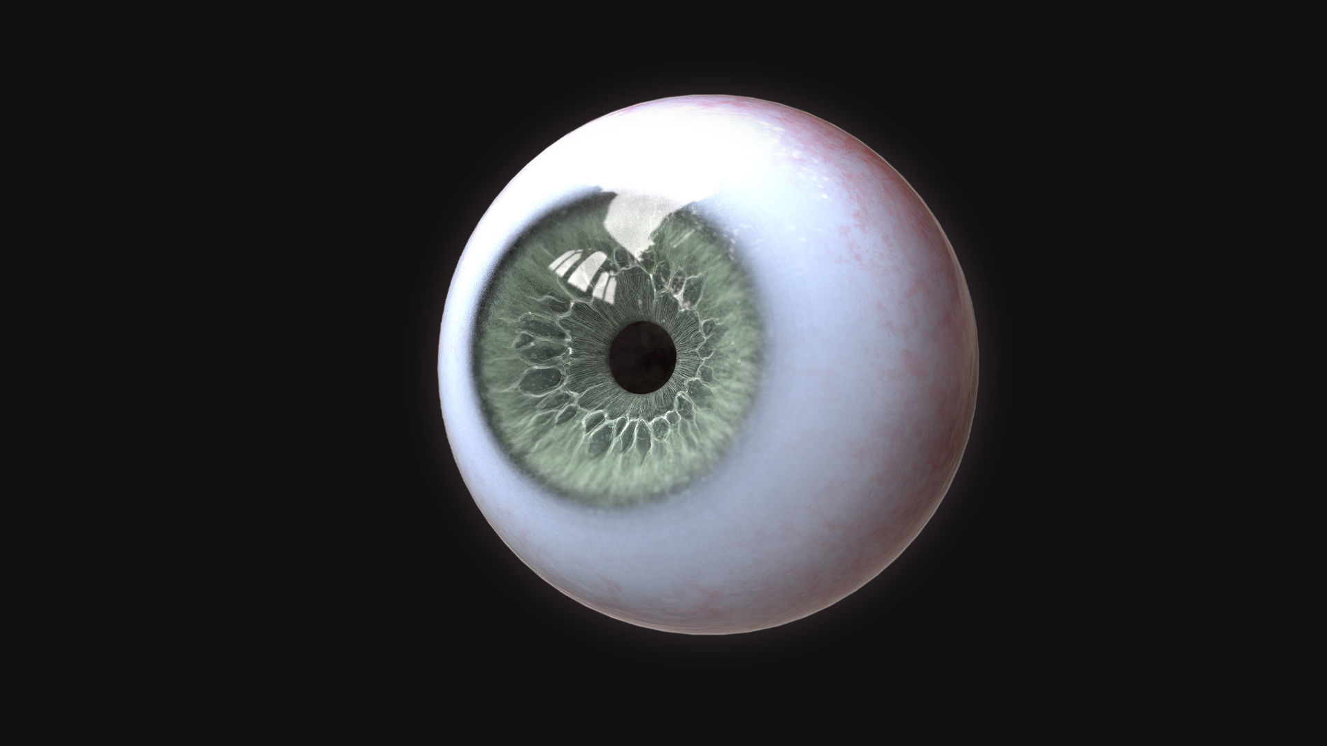 Rigged Eye 6 colors Low-poly 3D model_11