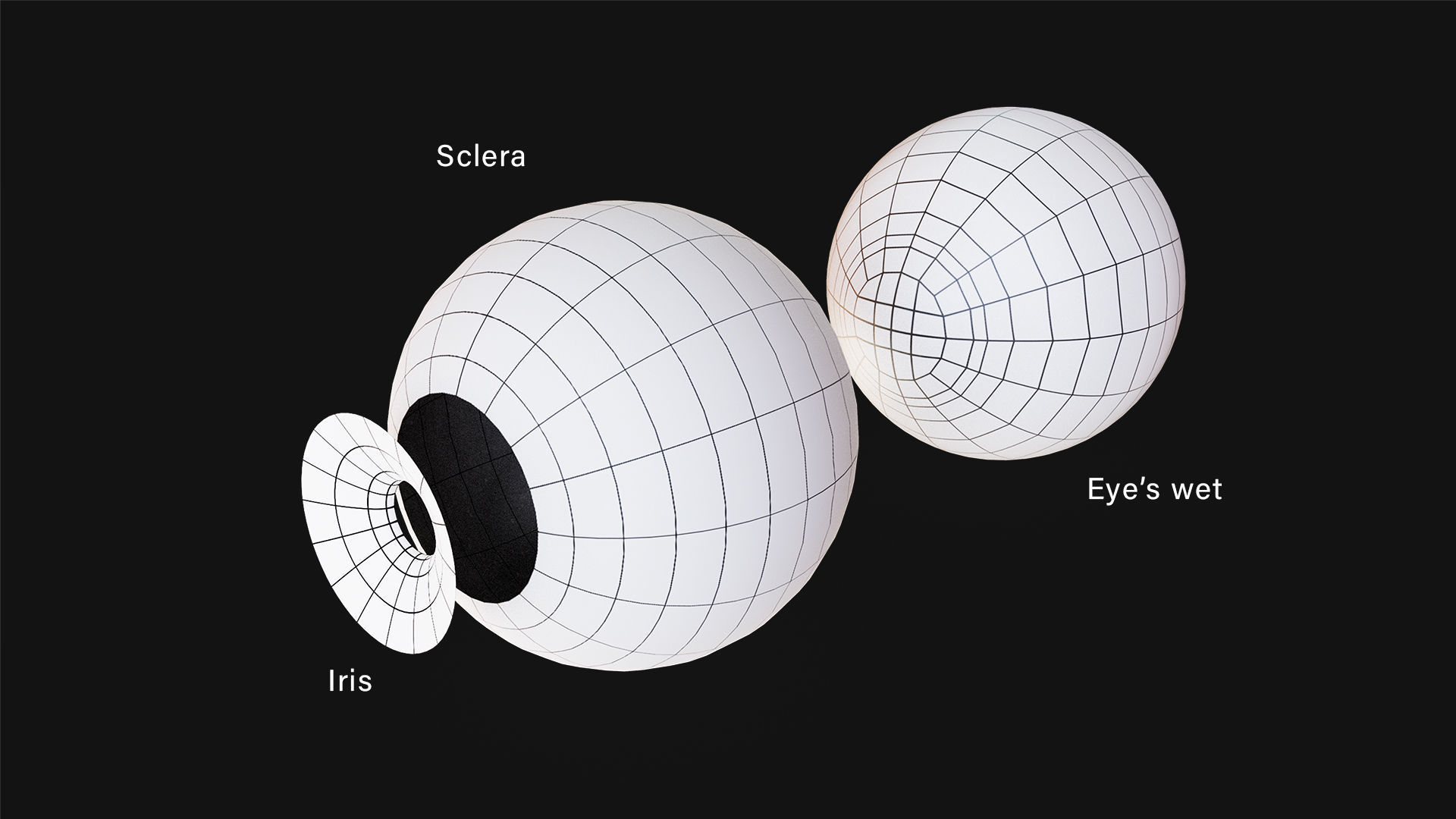 Rigged Eye 6 colors Low-poly 3D model_4