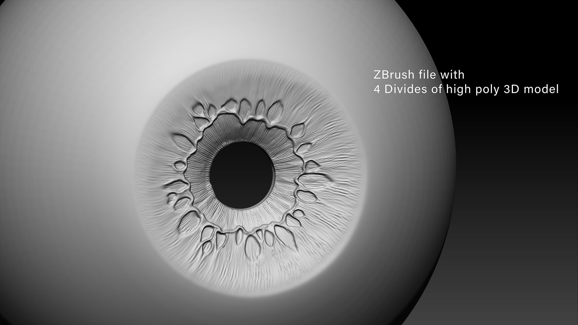 Rigged Eye 6 colors Low-poly 3D model_5