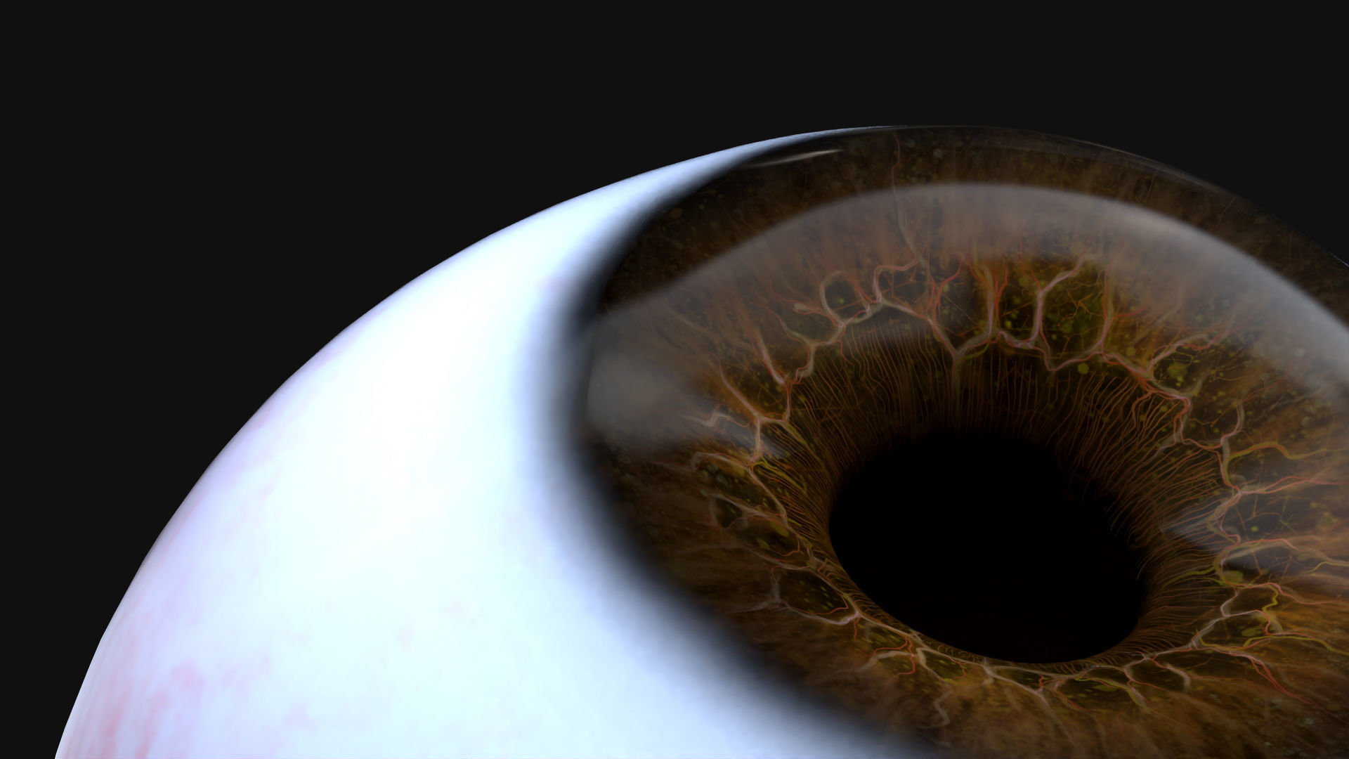 Rigged Eye 6 colors Low-poly 3D model_19