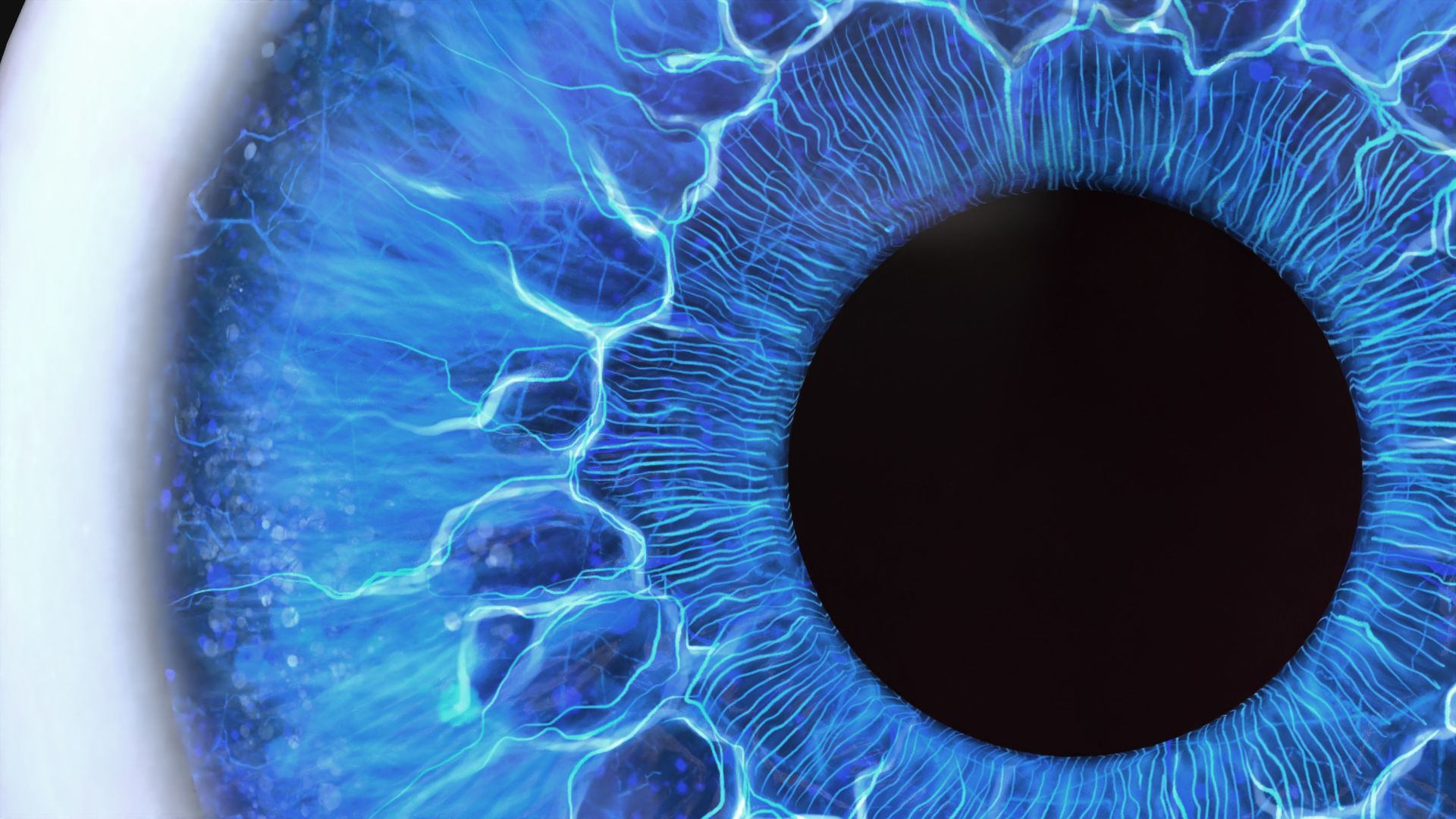 Rigged Eye 6 colors Low-poly 3D model_14