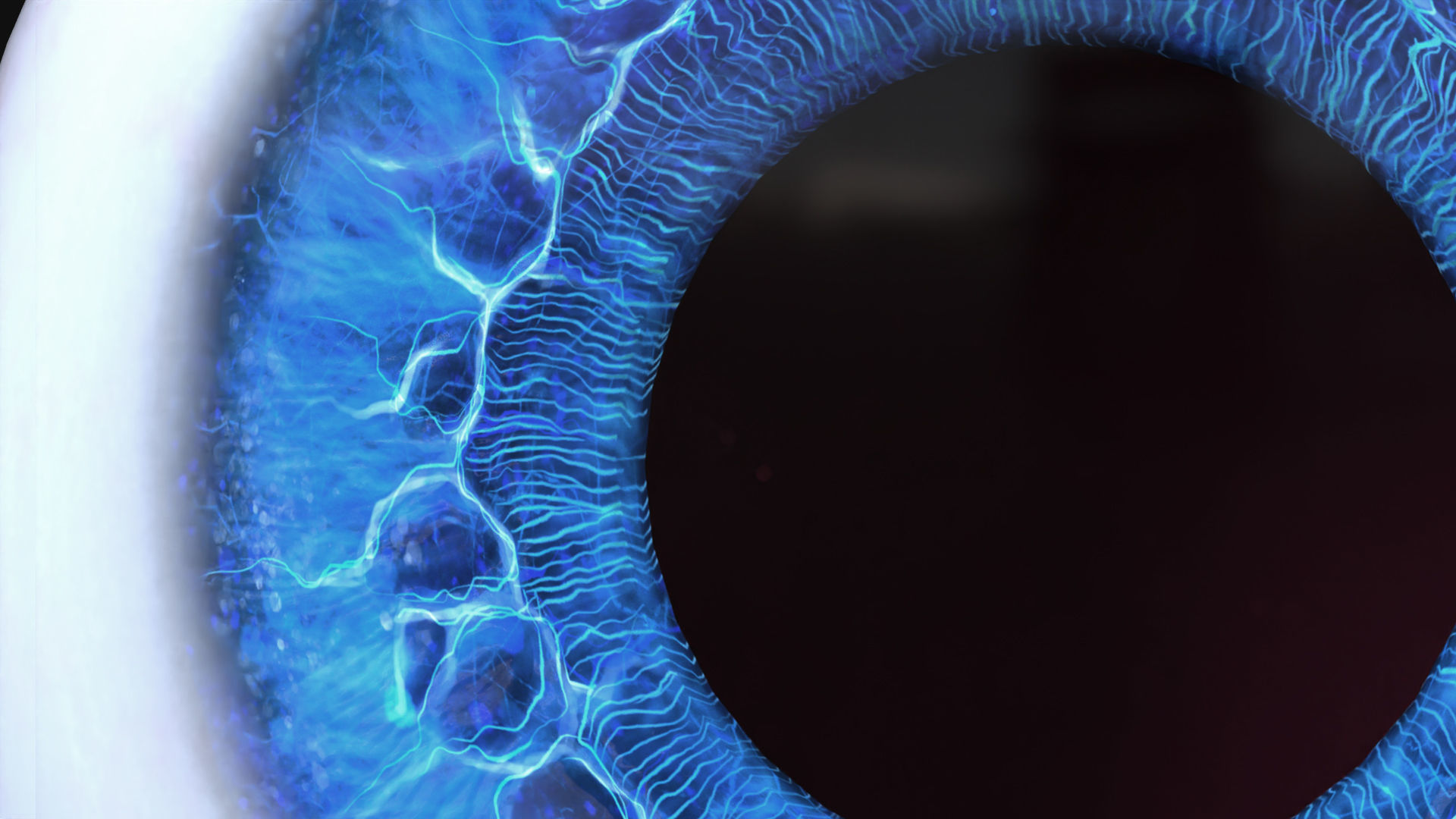 Rigged Eye 6 colors Low-poly 3D model_15