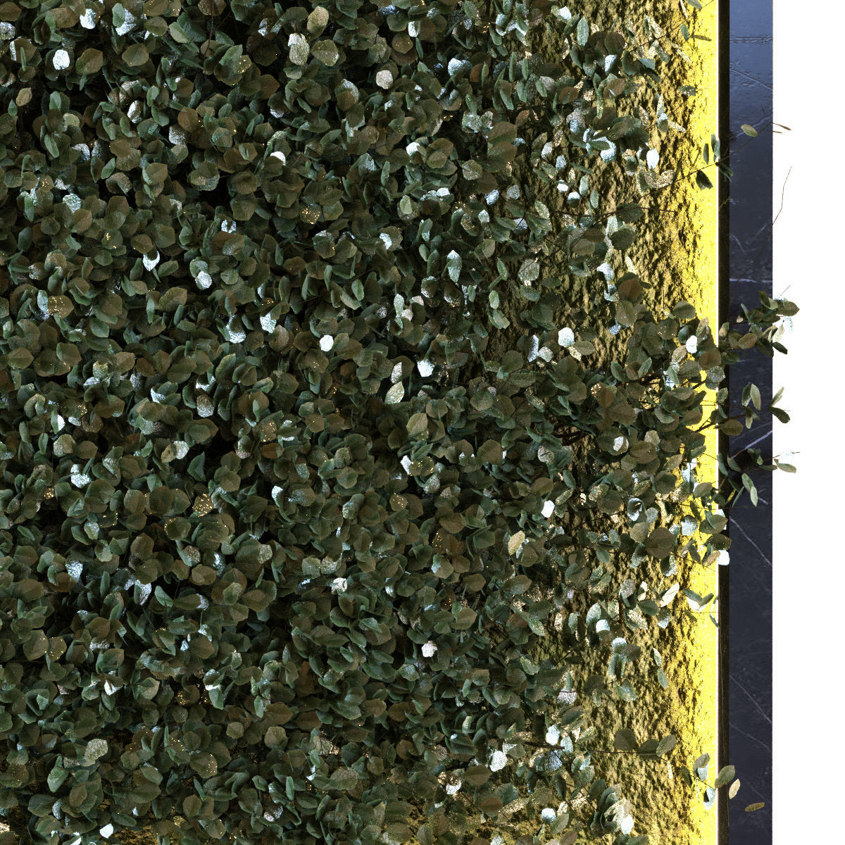 green wall set 042 Low-poly 3D model_5