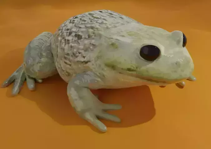 Low-Poly PBR Toad - Crapaud Free low-poly 3D model