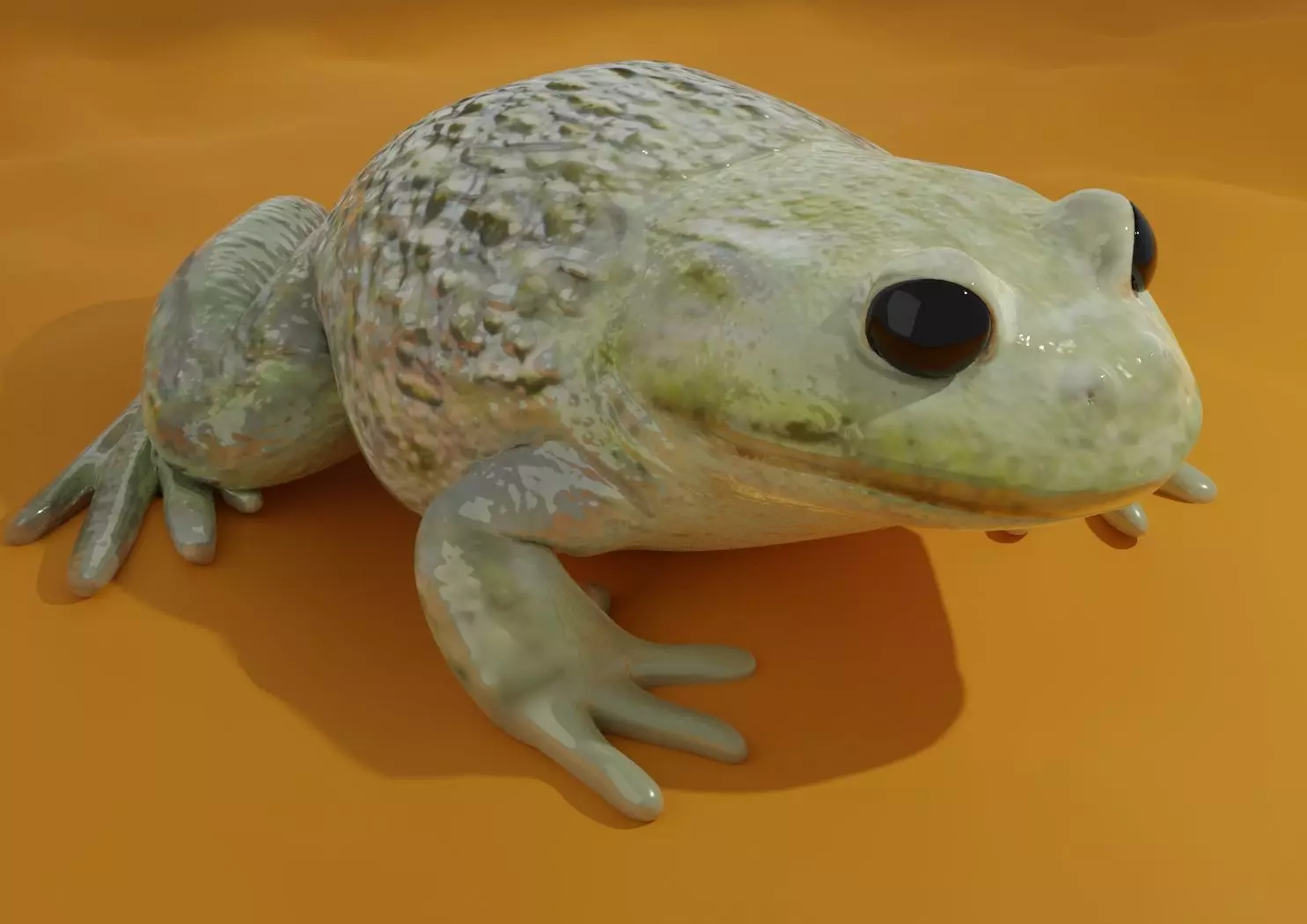 Low-Poly PBR Toad - Crapaud Free low-poly 3D model