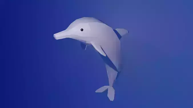 Dolphin