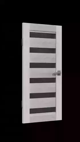 Modern Door