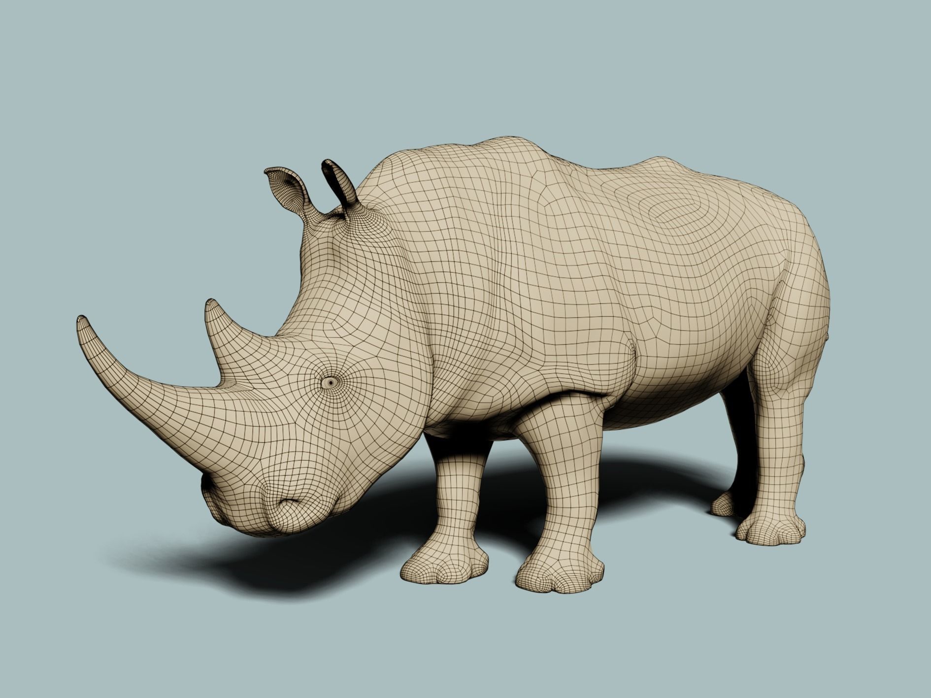 White Rhinoceros 3D model_12