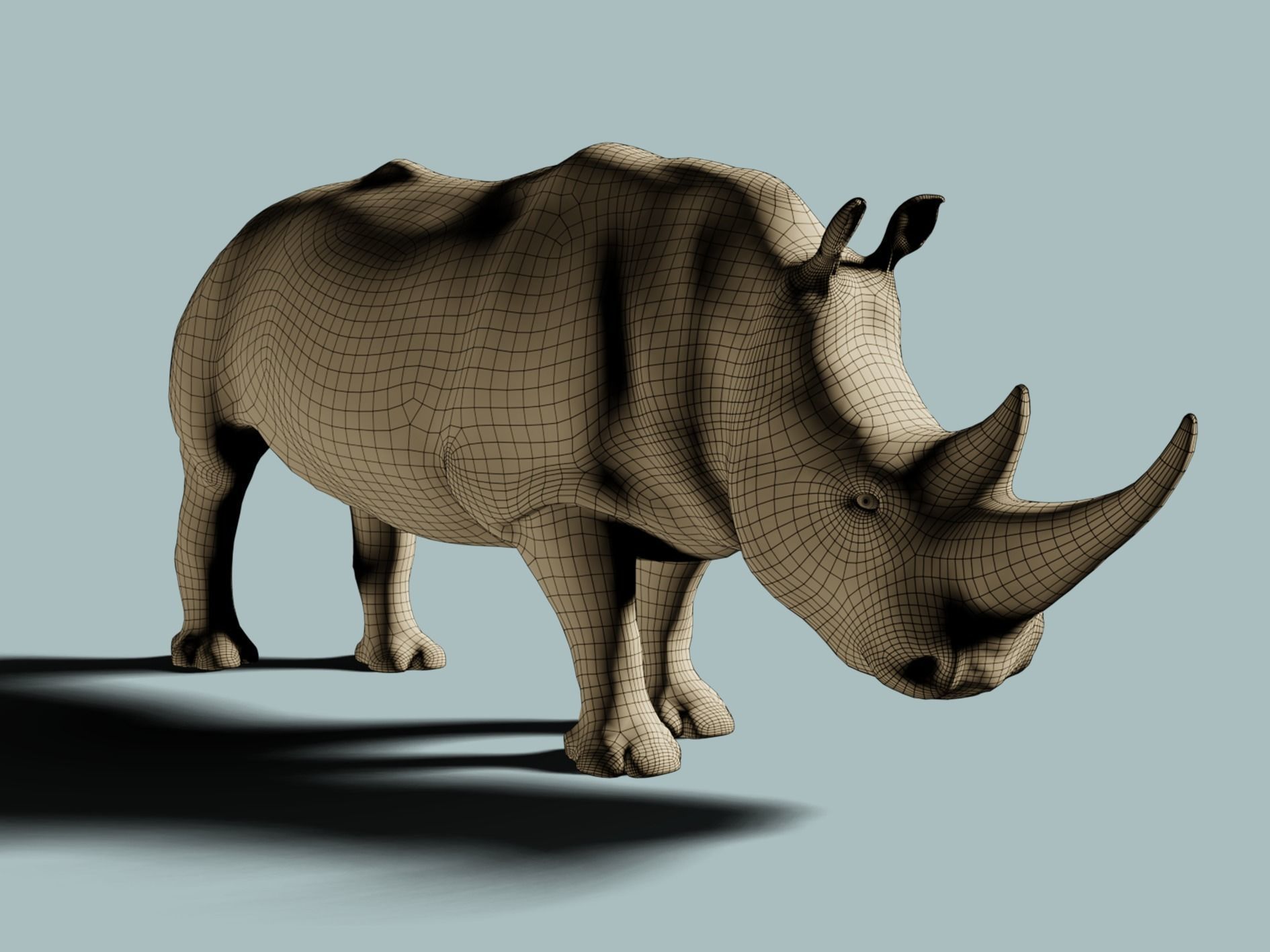 White Rhinoceros 3D model_15