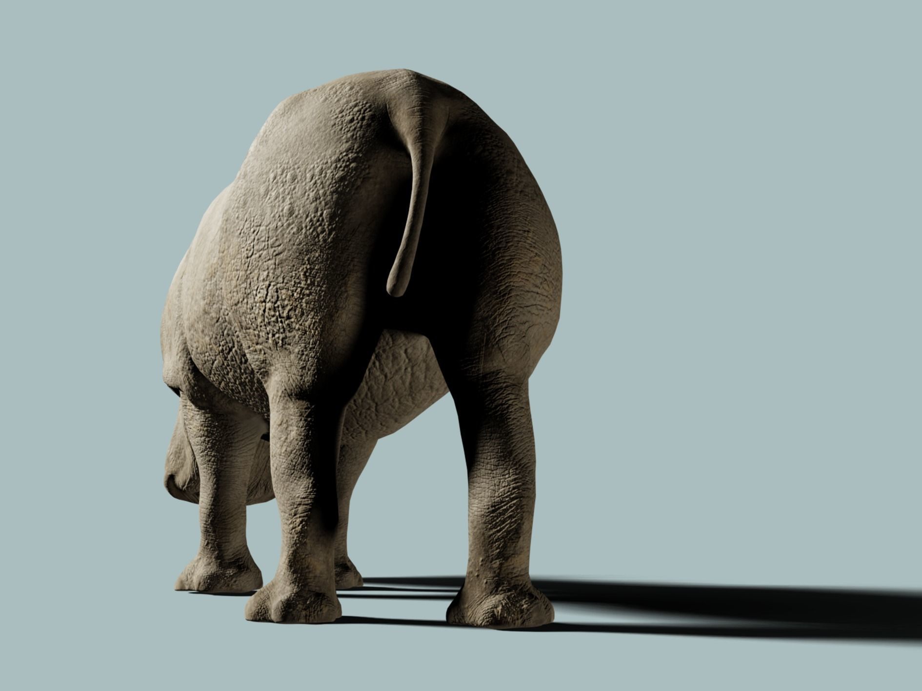 White Rhinoceros 3D model_6