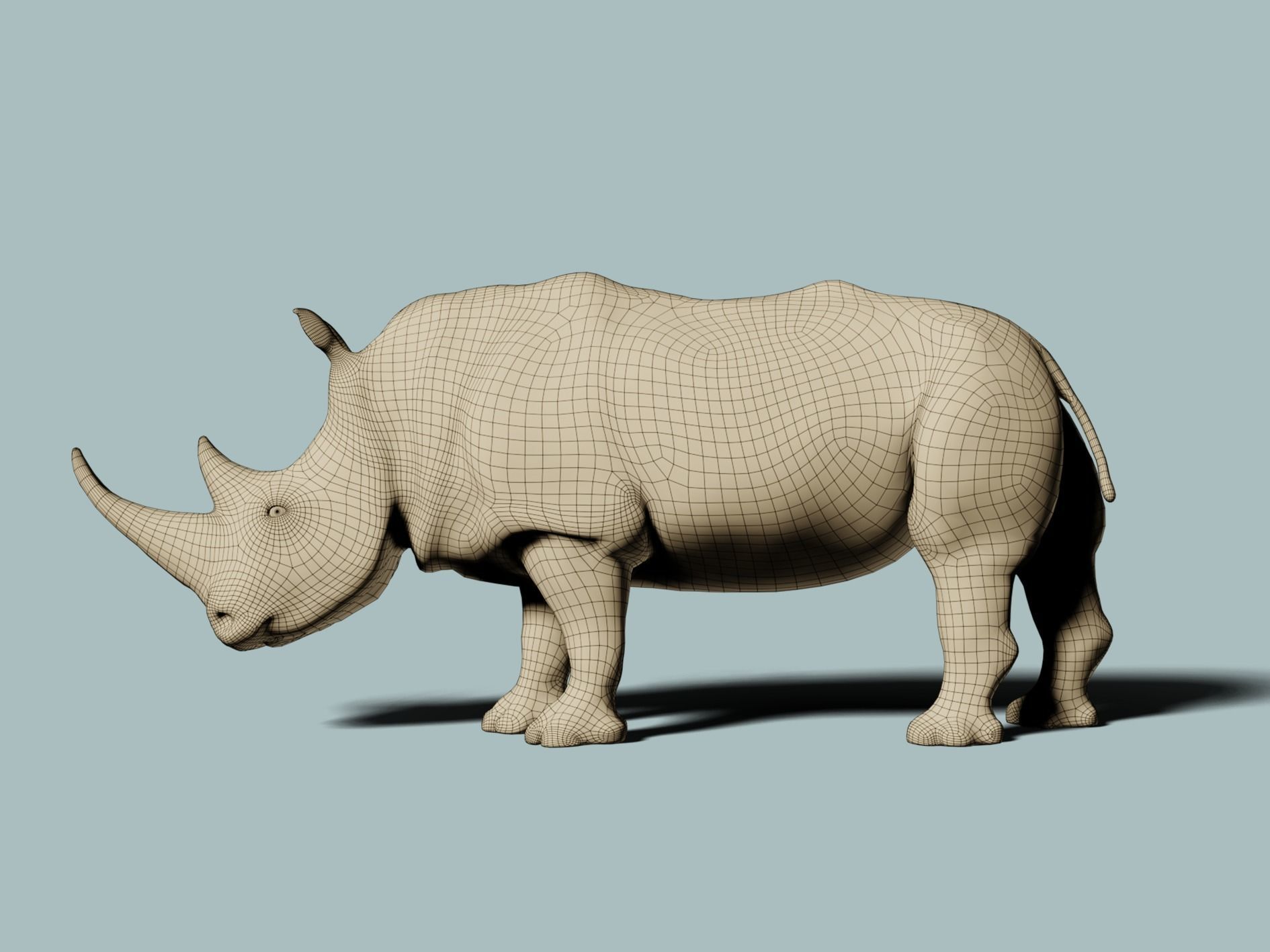 White Rhinoceros 3D model_11