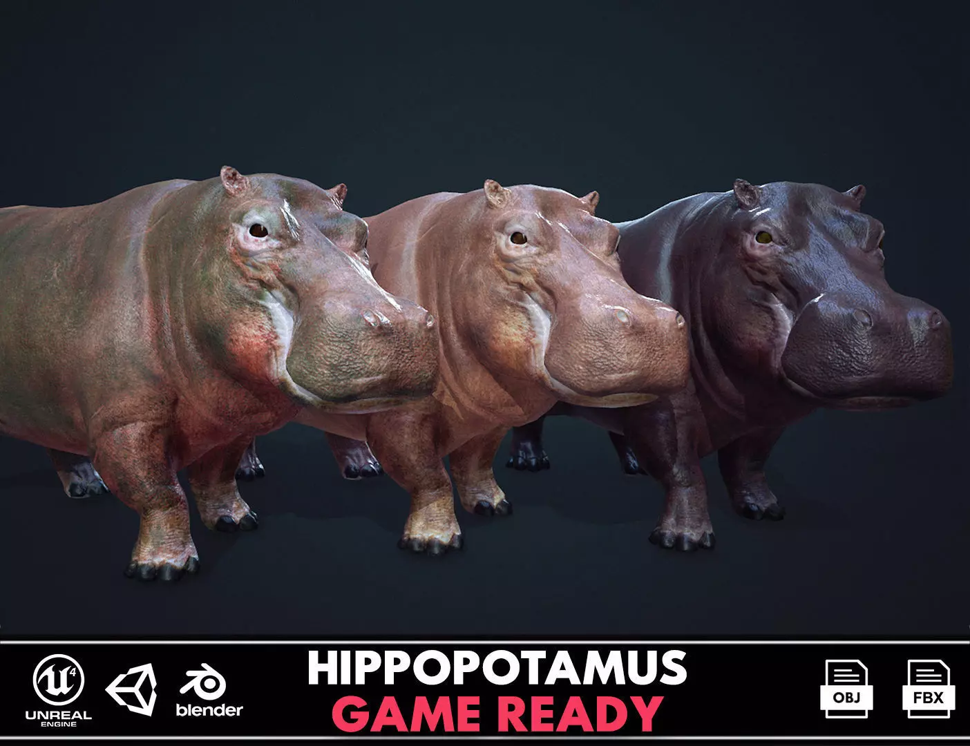 Hippopotamus - Game Ready Low-poly 3D model_0