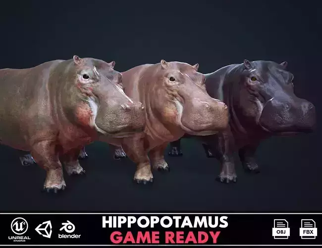Hippopotamus - Game Ready Low-poly 3D model